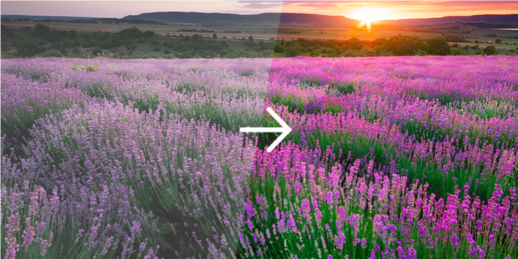 写真の補正・修復