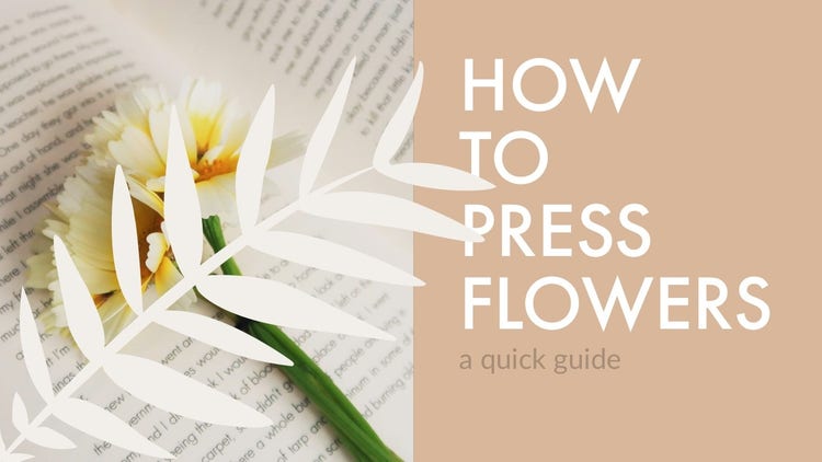 Light, Bright Toned Pressing Flowers Guide Video Cover You Tube