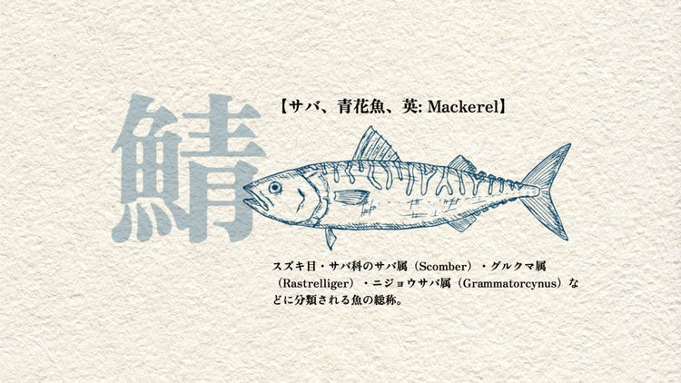 explanation of mackerel background