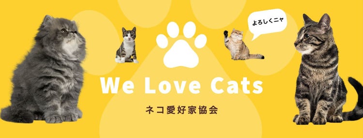 Cat fanclub Facebook cover