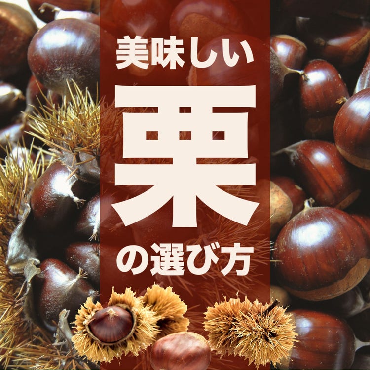 How to choose a good chestnut