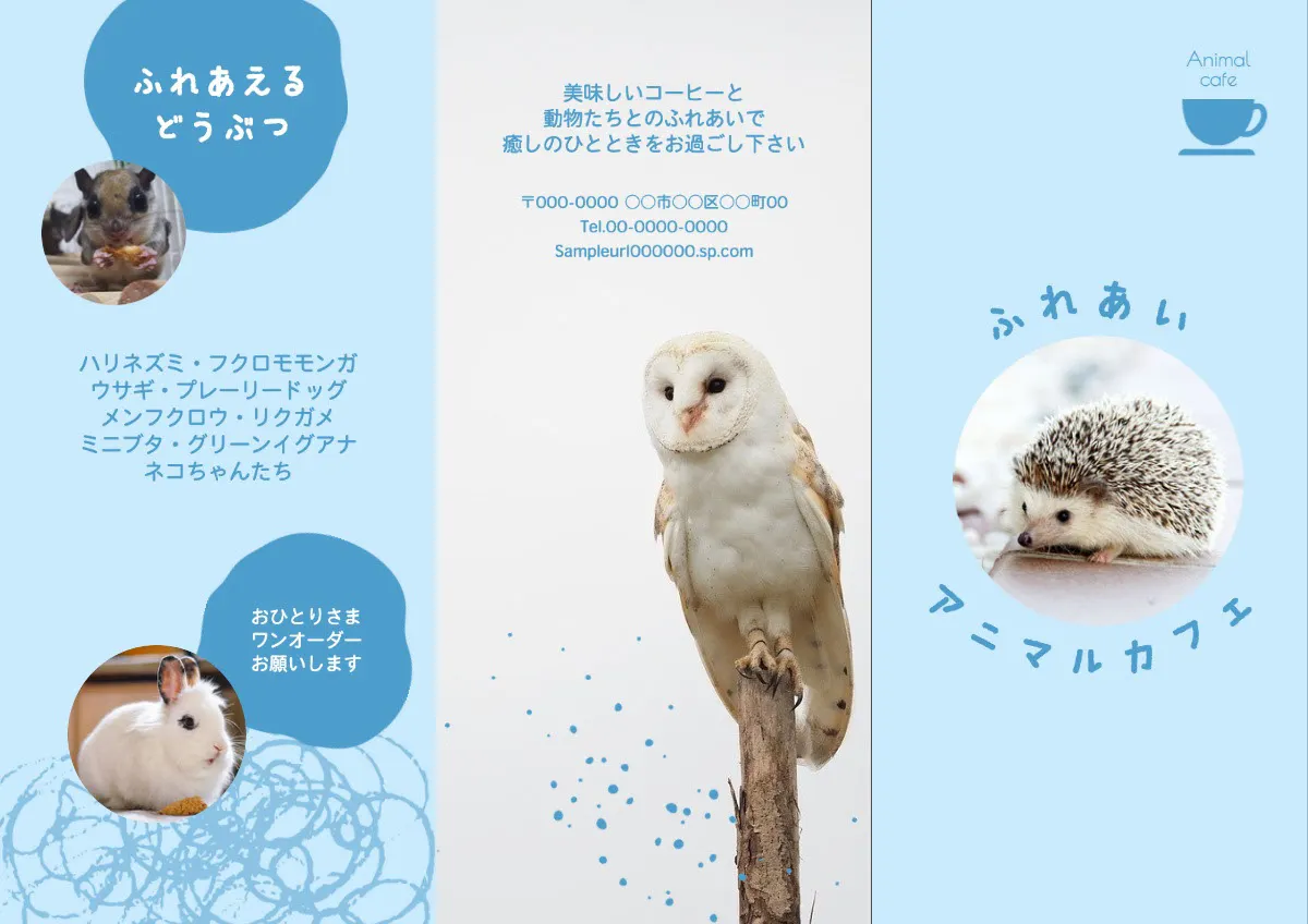 blue animal cafe brochure