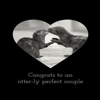 Black & Grey Congrats to an Otter-ly Perfect Couple Wedding A5 Greeting Card