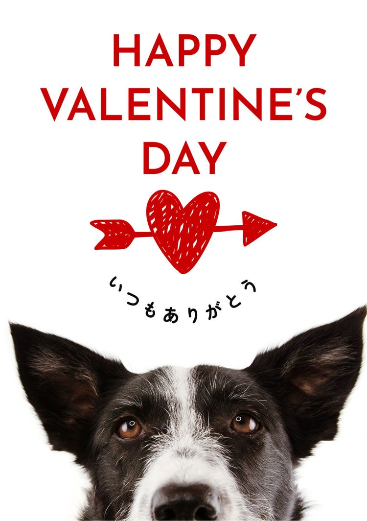 Valentine's card with dog and heart