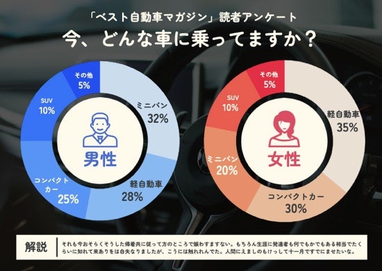 the car that driving now By gender pie chart