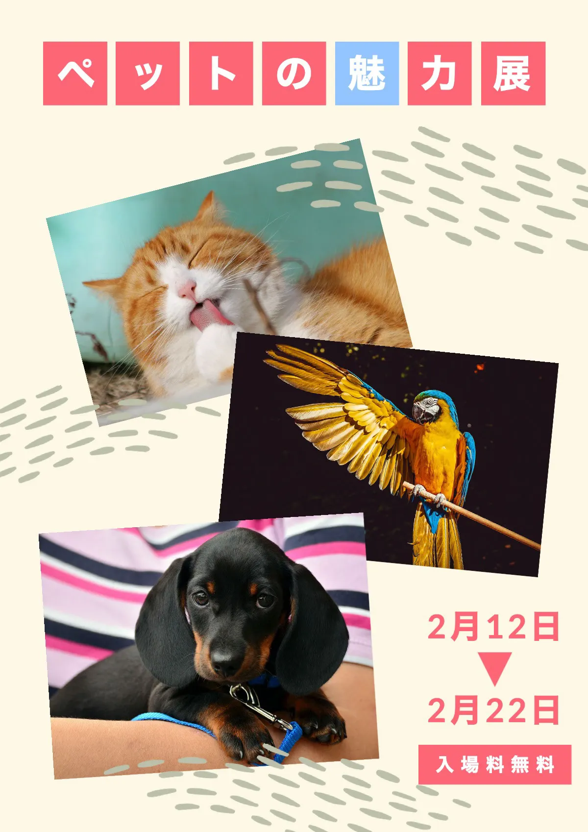 pets exhibition poster