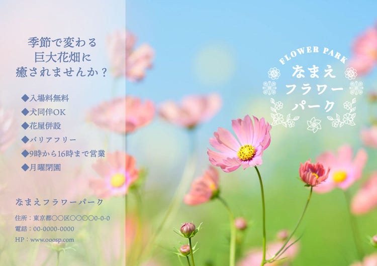 flower park leaflet-trifold