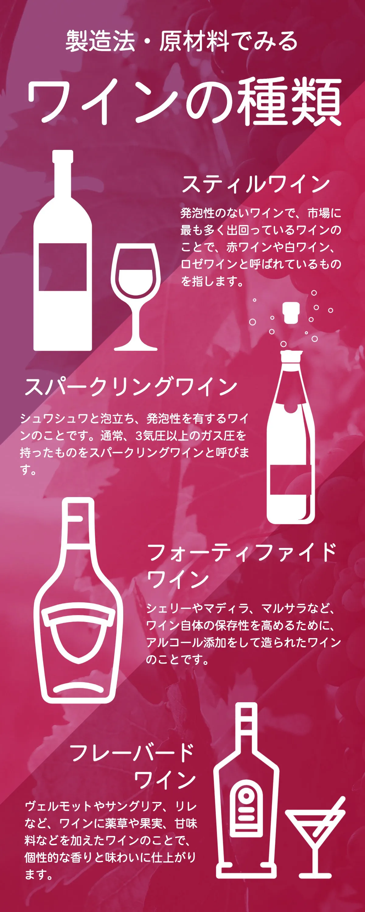 about wine infographic