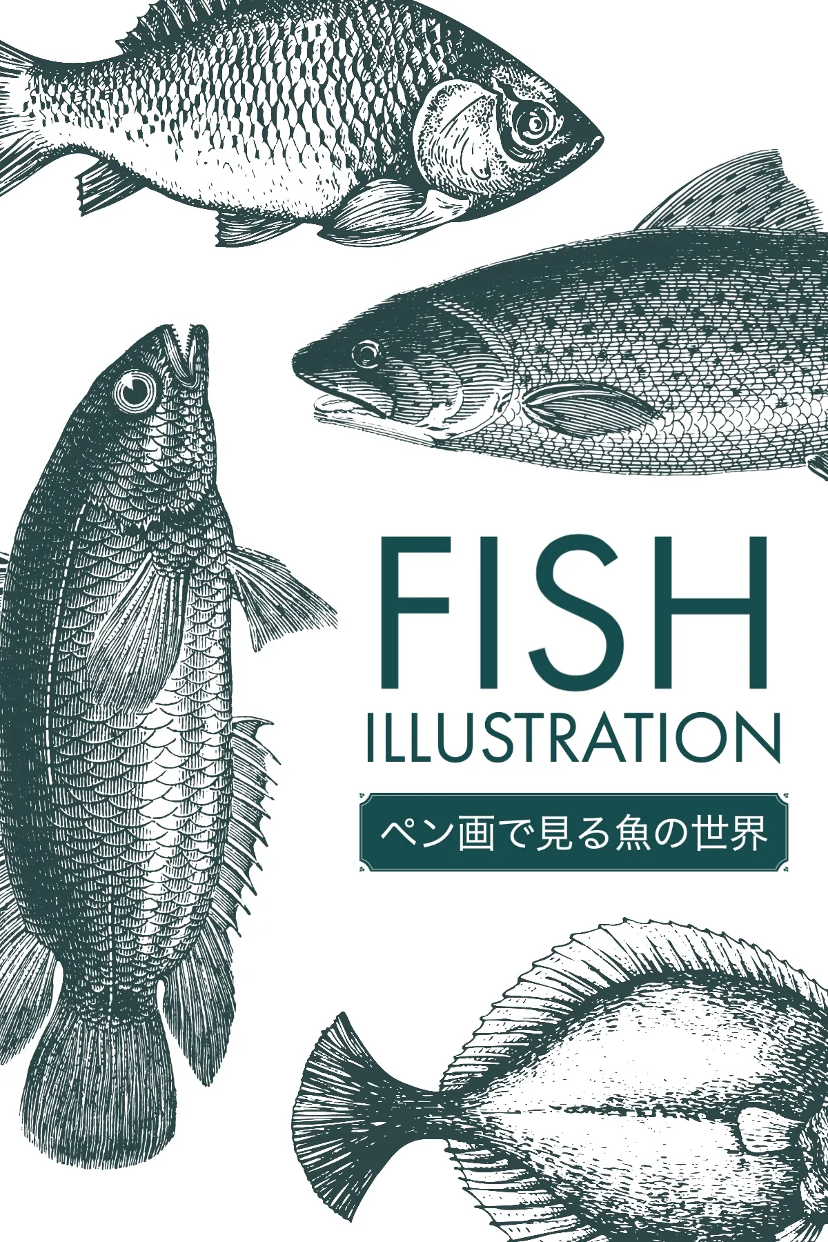 Fish illustration pinterest graphic