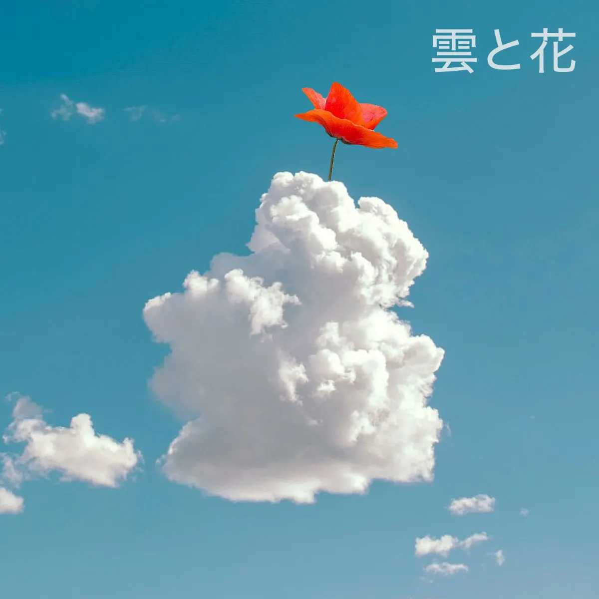 Cloud and flower instagram
