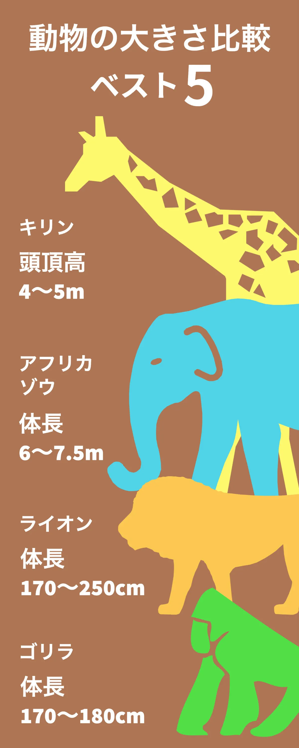 Animal size ranking infographic