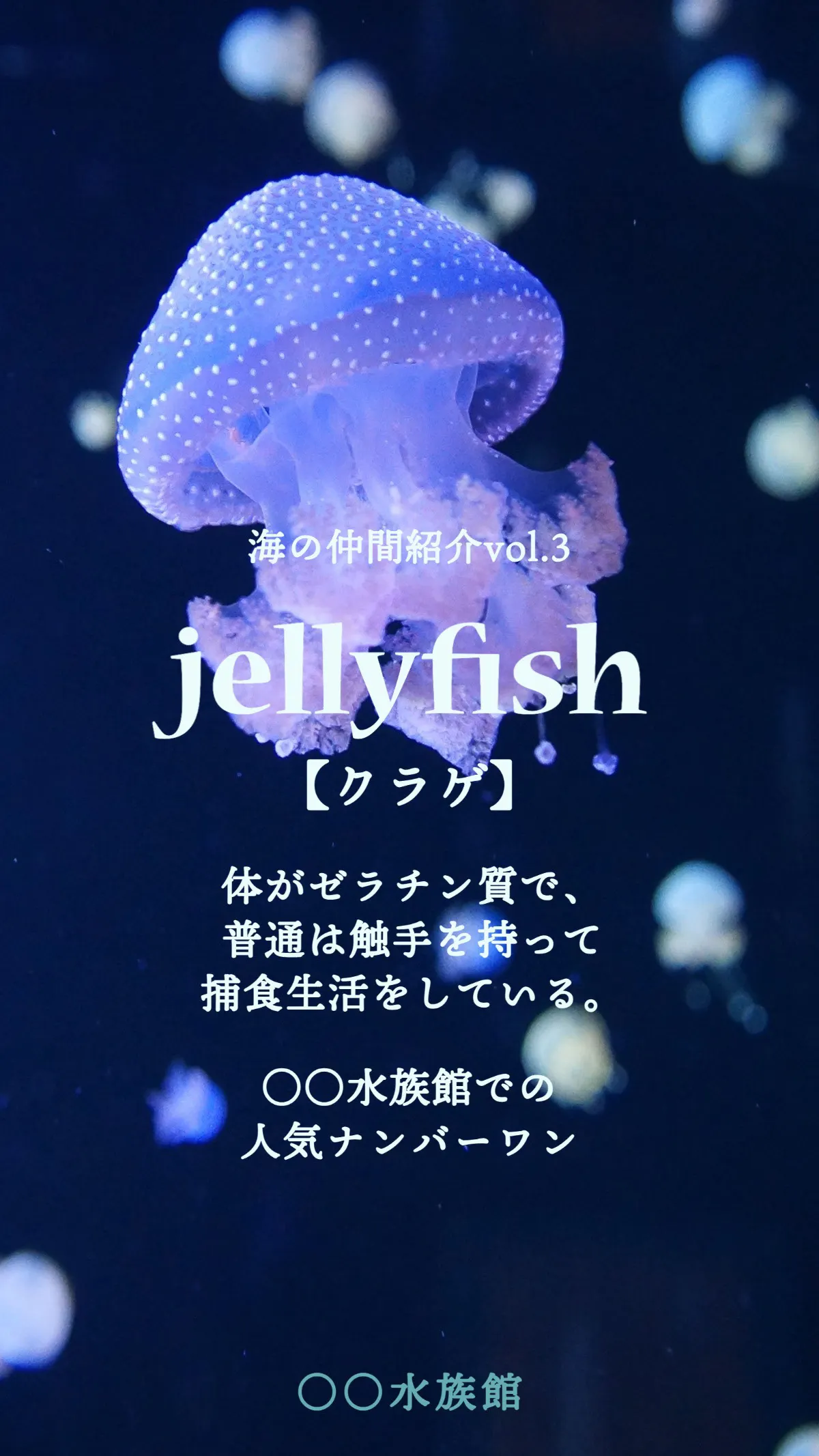 Aquarium jelly fish facebook story