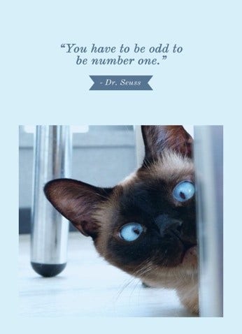 Blue With Cat Quote Poster