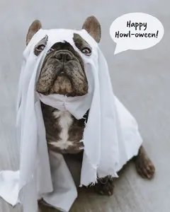 Cute Spooky Ghost Dog Halloween Speech Bubble