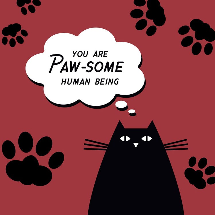 red and black cat quote instagram 