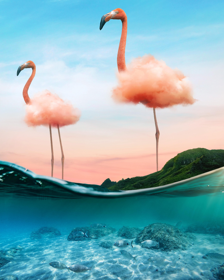 オンラインで写真を切り取り 画像切り抜き無料ツール Adobe Express