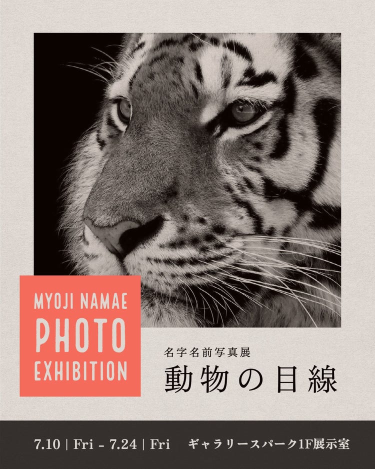 Animal photo exhibition instagram portrait post