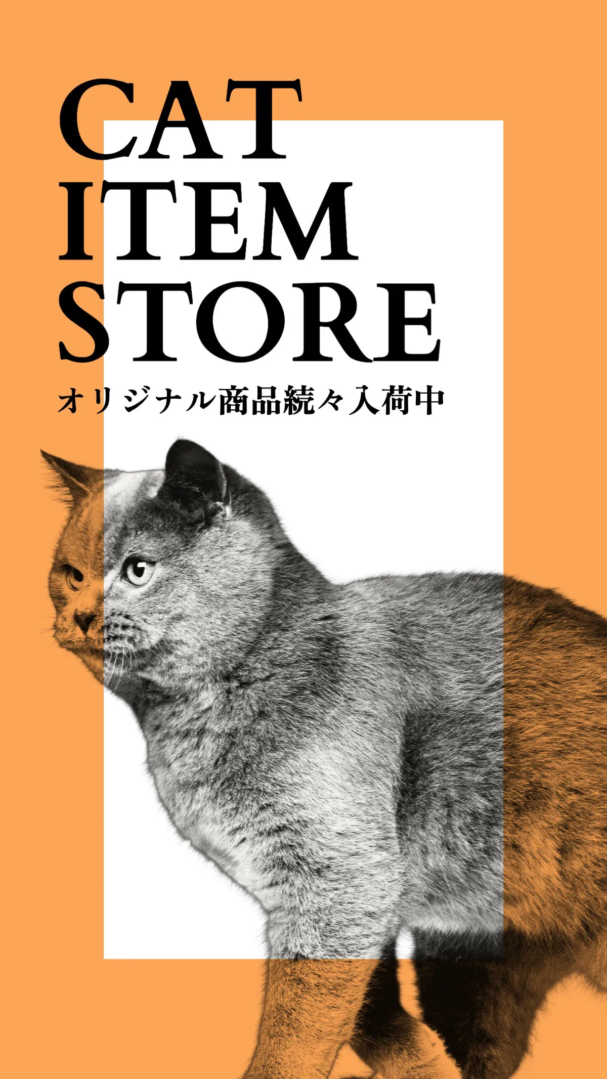 cat item store instagram story