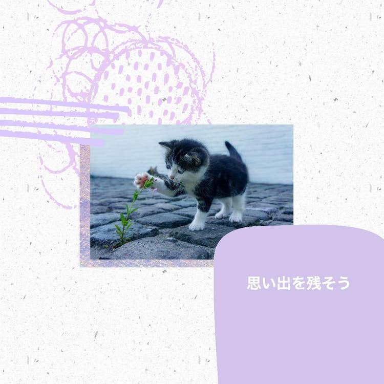 Memories with cat collage