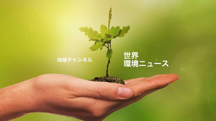 Environment news youtube channel