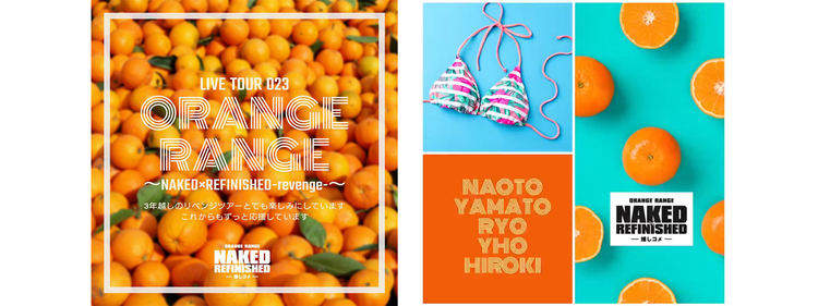 A collage of oranges and garments Description automatically generated