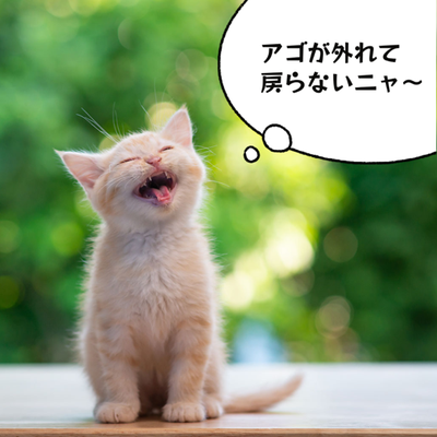 A cat with its mouth open Description automatically generated with medium confidence
