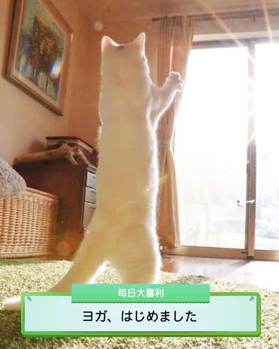 A picture containing text, indoor Description automatically generated