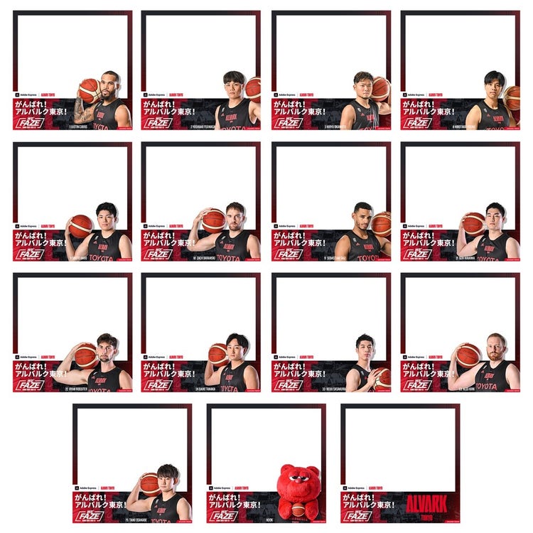 A picture containing white, shelf, different, bunch Description automatically generated