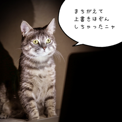 A cat sitting on a chair Description automatically generated with low confidence