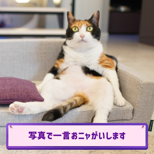 A cat sitting on a couch Description automatically generated with medium confidence