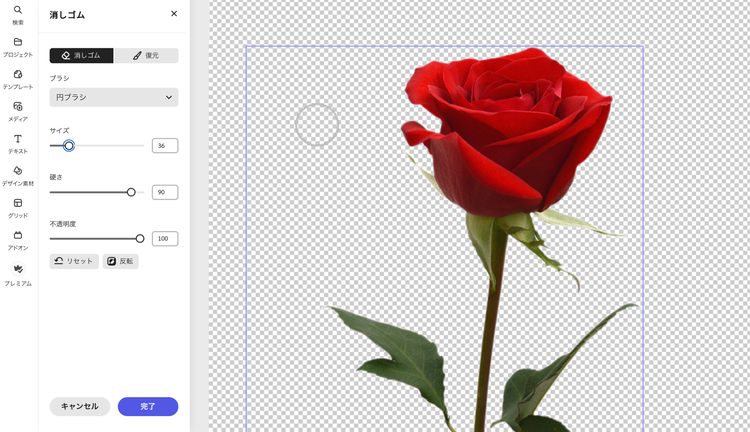 A close up of a rose Description automatically generated