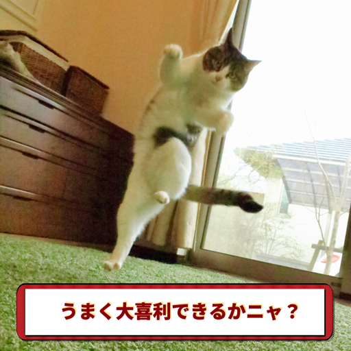 A picture containing text, cat, indoor, sign Description automatically generated