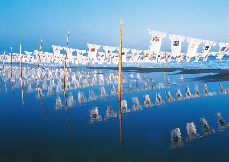 Photographic image of tshirts hung over a body of water