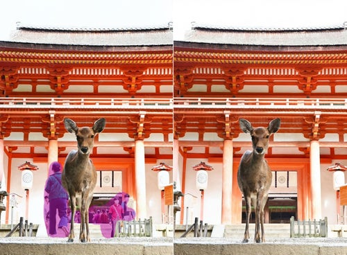 寺院の前に立つ鹿の前景と、背景に複数の人物が写っている写真