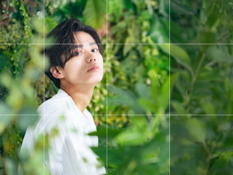 緑の葉を背景に見上げる白いシャツの若い男性のポートレート。三分割のグリッド線で被写体の配置を示す背景生成の画面