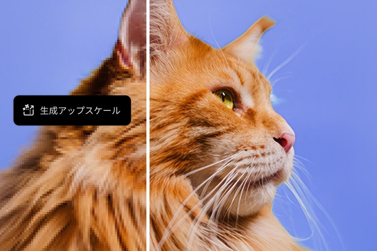 https://main--cc--adobecom.aem.page/cc-shared/assets/video/product/photoshop/max2025/media_1e653ddf52851e647c436ebd02cf2f891e33b1b55.mp4#_autoplay1 | 生成アップスケールを紹介する短いビデオ。