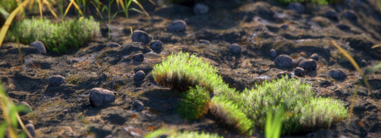 rendering of plants mixed with rocks