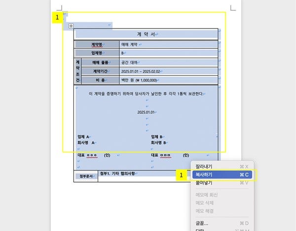 Word 문서에서 복사할 내용을 선택