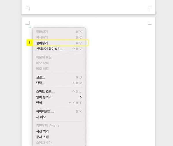 추가된 페이지에로 붙여넣기.