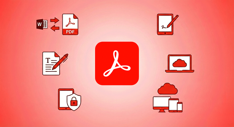 Adobe Acrobat Reader 선택 가이드