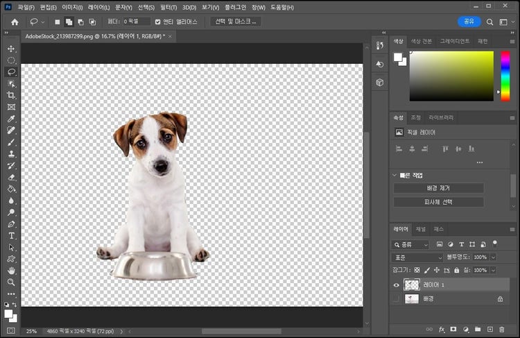 Photoshop을 사용하여 배경 제거