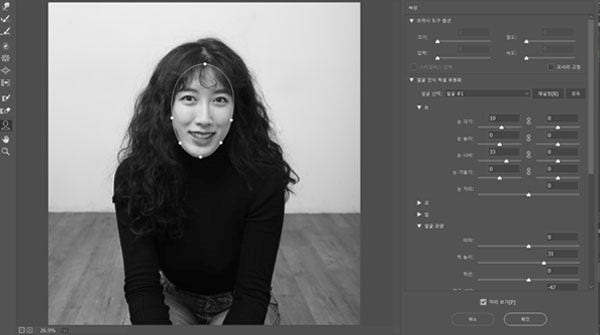 포토샵 픽셀 유동화 얼굴 도구로 눈 키우기