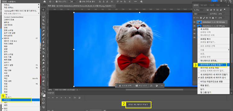 타임라인 만들기