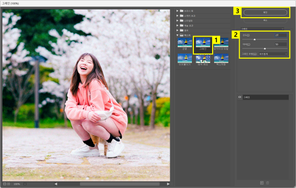 필터 갤러리에서 그레인 효과 적용하기