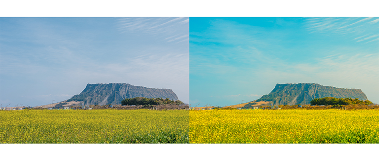 제주도 풍경 사진 보정 전후