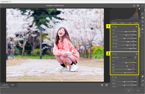 Camera Raw 필터에서 밝게, 색상 조정하기