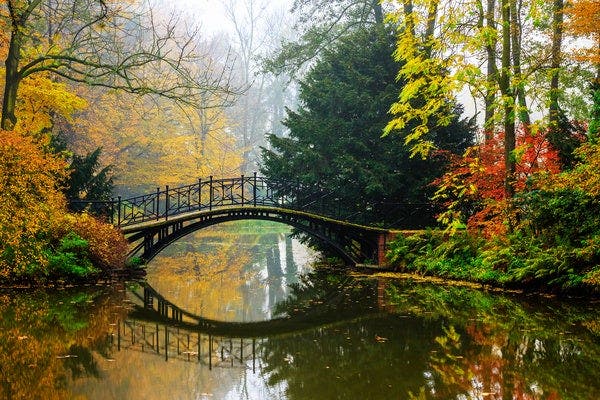 높은 카메라 조리개 값으로 촬영한 사진