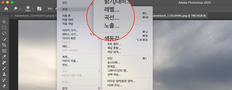 포토샵 사진 편집 명암 조절 도구