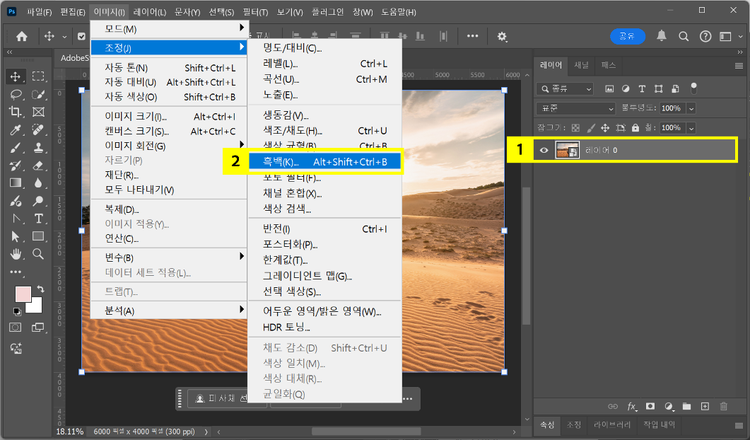 흑백 변환 탭 열기