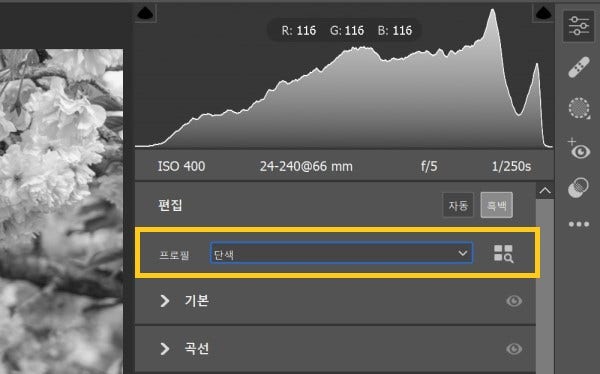 인물사진 보정 rgb필터 사진편집